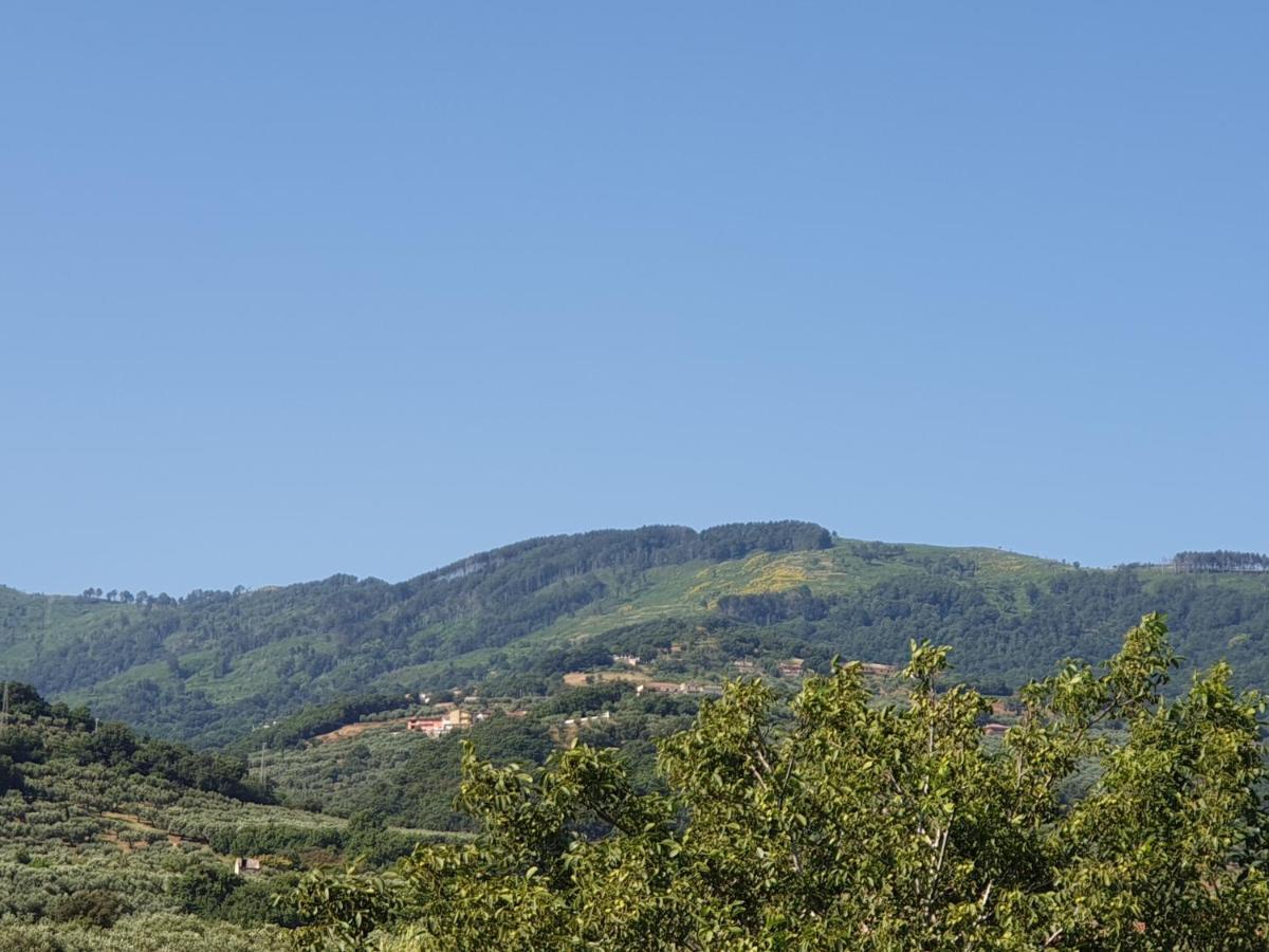 B&B Villa Del Sole Gizzeria Exterior foto